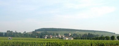 Village of Aloxe w hill of Corton.JPG